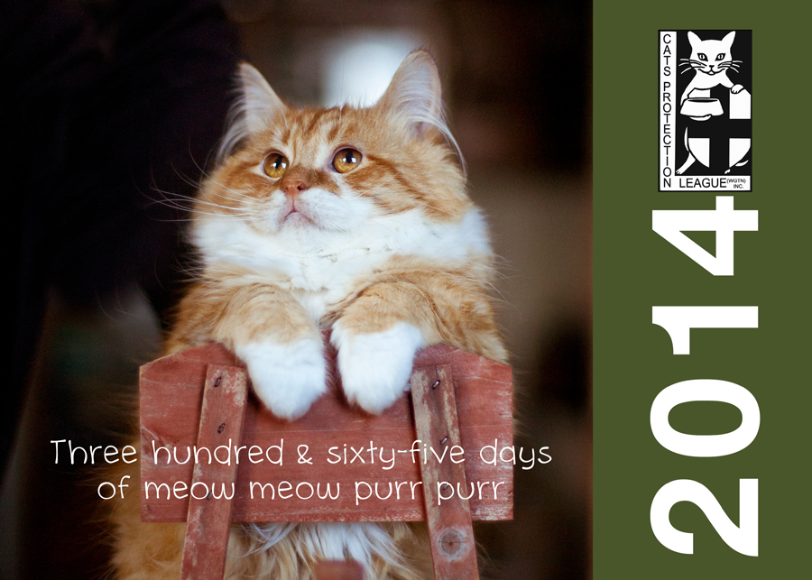 2014 Cats Protection League Calendar Wellington