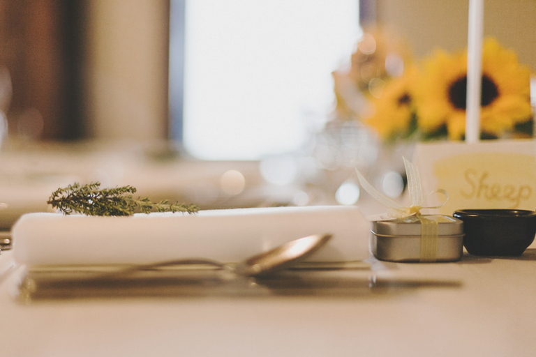 fotografica_BoomrockLeemaNobu51