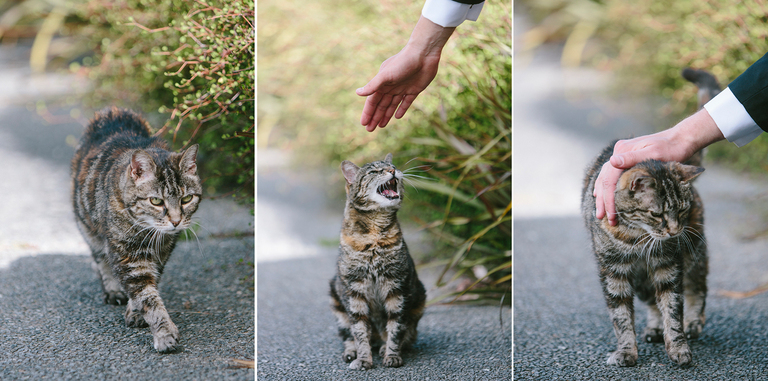 fotograficabrackenridge302