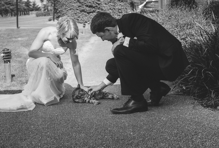 fotograficabrackenridge303