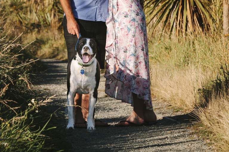 Wellington wedding photography - Kapiti Coast - engagement session