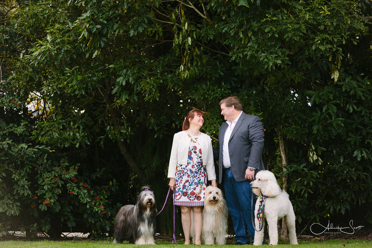 pet photography - alicia scott - Wellington photographer