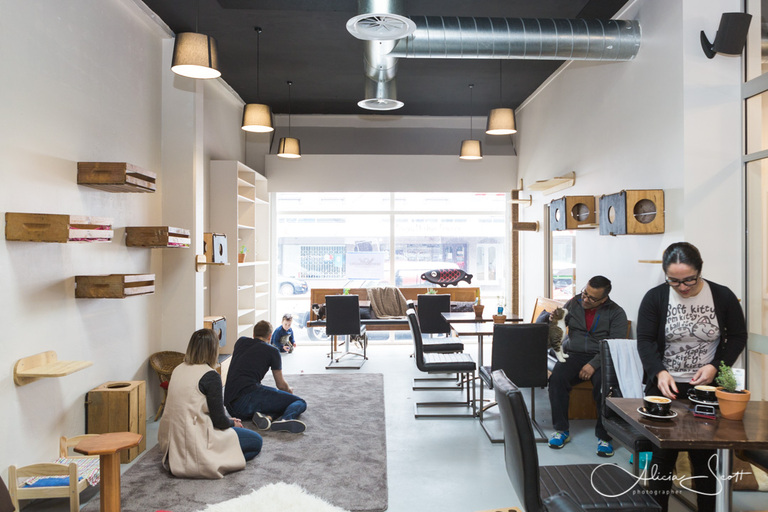 People in Neko Ngeru cafe taken by Alicia Scott, Wellington Photographer