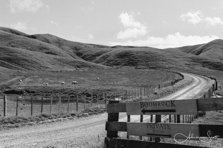 Photo of Boomrock main gate taken by Alicia Scott, Wellington wedding photographer