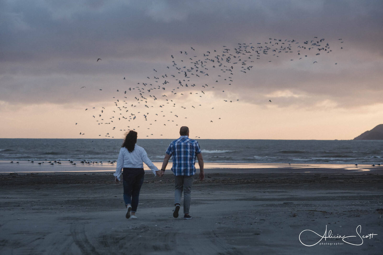 Images from a Kapiti engagement session taken by Alicia Scott, Kapiti Coast photographer